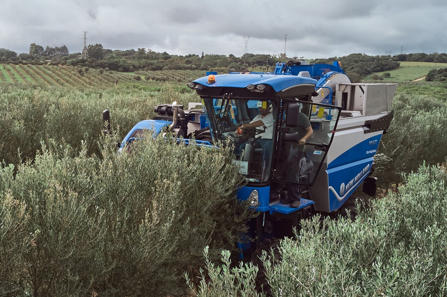 Brazil’s first olive harvester