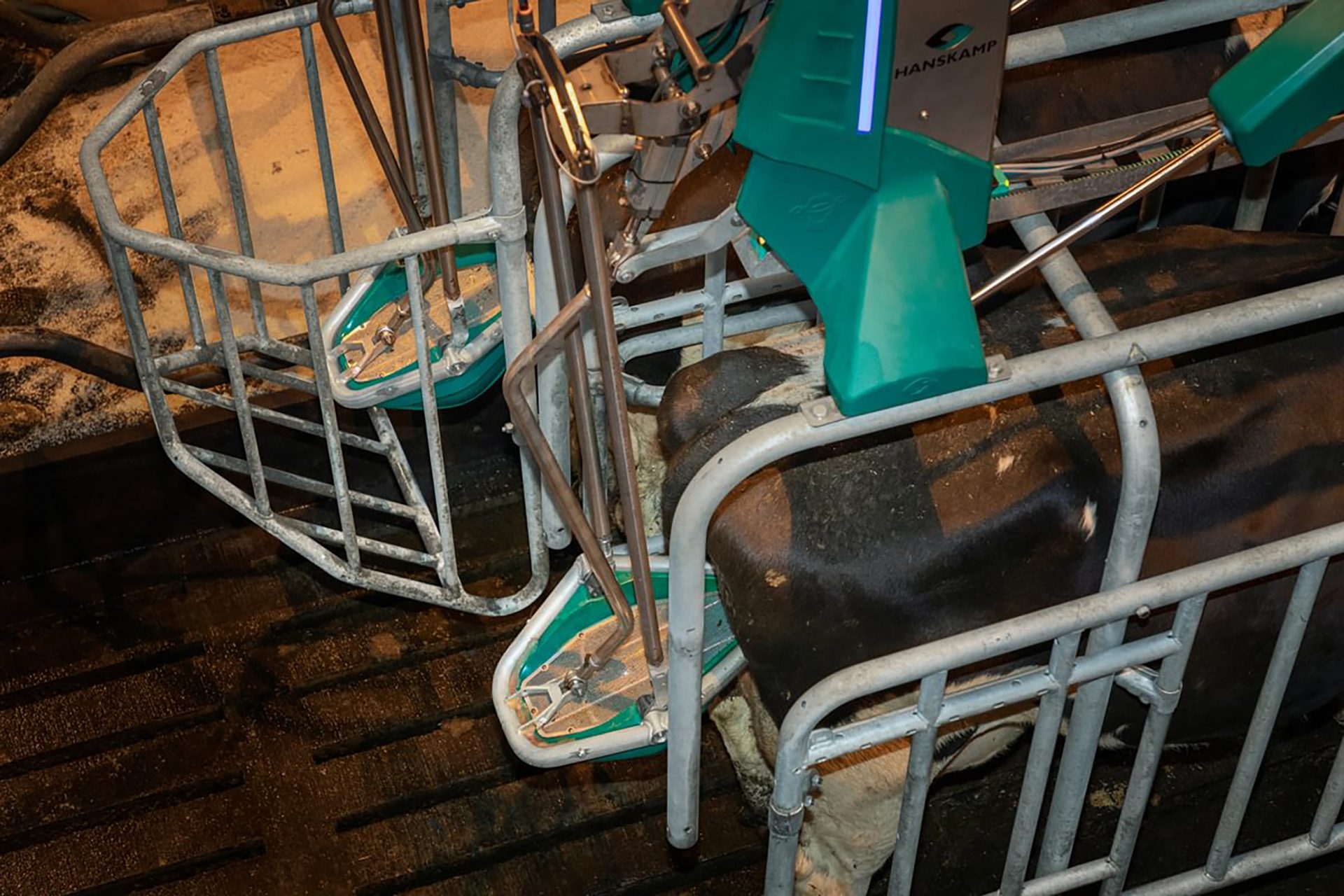 CowToilet launch at LAMMA