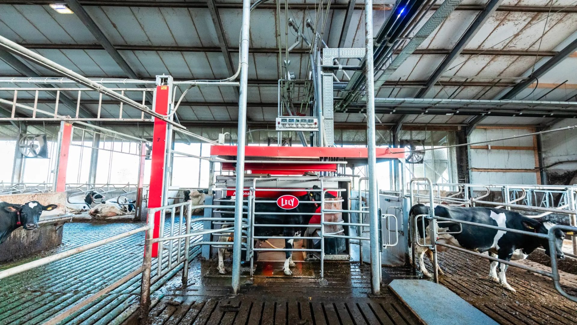 Lely revenue tops one billion Euros