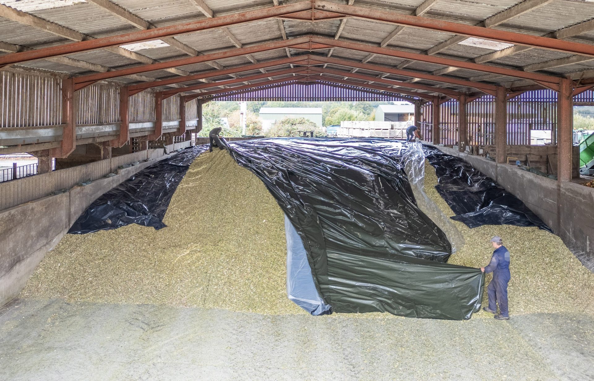 Sheet to reduce silage clamp losses