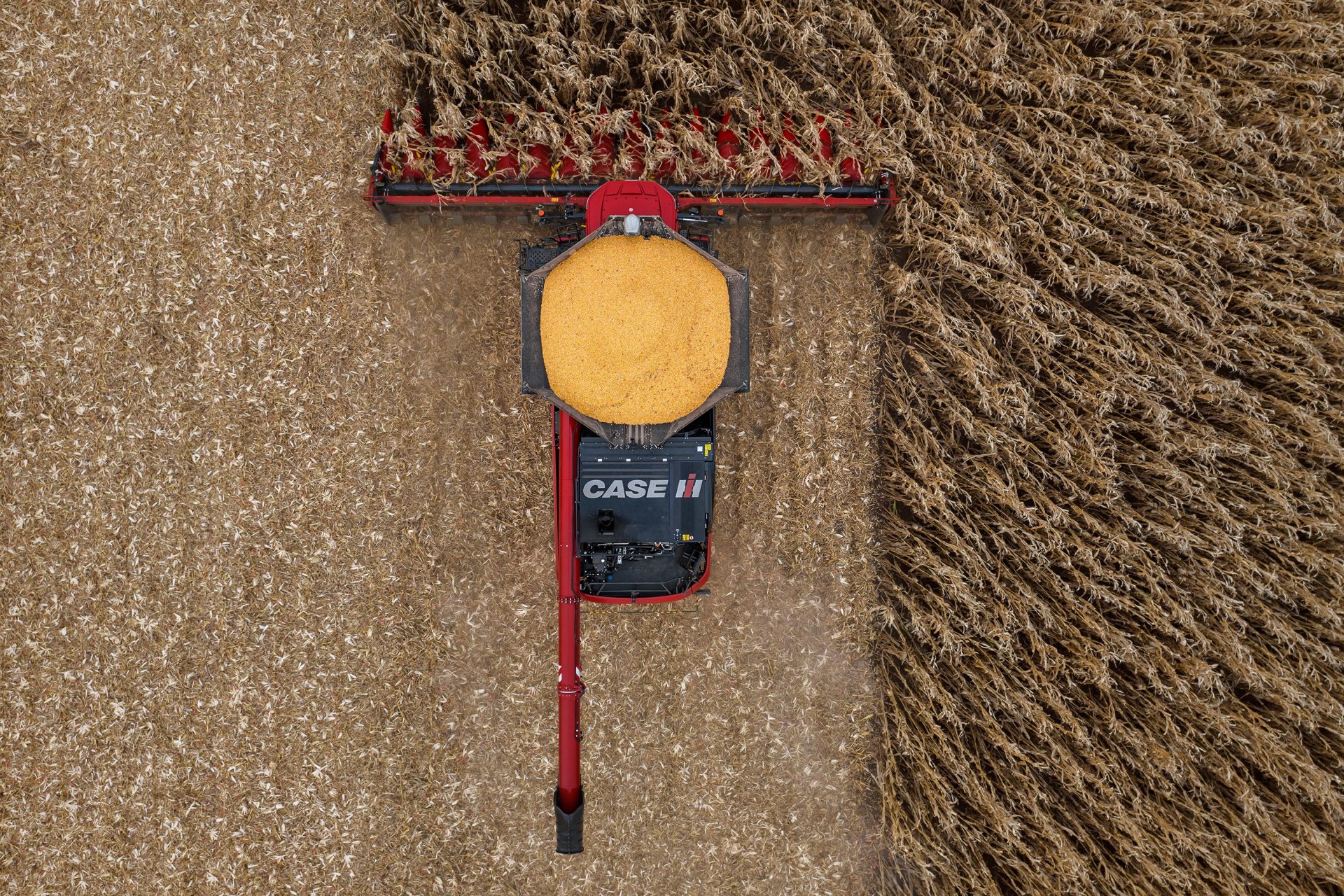 Widest Case IH maize grain header
