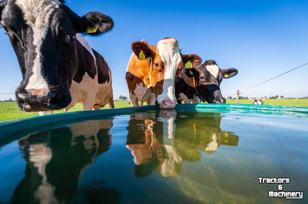 Water trough Solar Energy Suevia Suevia weidedrinkbak, 200 tot 1500 liter