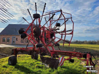 Rake Lely Hibiscus 855 CD