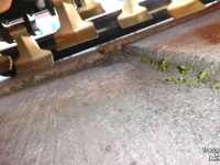 Flail mower Knegt Klepelmaaier 220  ACTIE