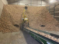 Potato pick-up loader Visser Visser opschepmachine | Beschikbaar voor verhuur