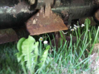Flail mower Boxer Klepelmaaier