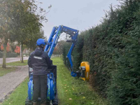 Hedge trimmer  Harsma One