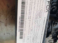 Engine FPT Boomer 46d 54d