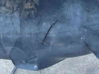 Wheels, Tyres, Rims & Dual spacers Michelin 2x Mach X BiB 710/70R38 Banden