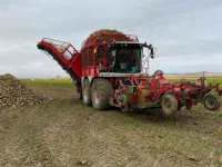 Sugar beet harvester Vervaet Beet Eater BE625 Bietenrooier / Sugar beet harvester / Rübenroder