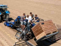 Potato harvester SU-Tech aardappellader