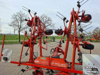 Tedder Kuhn GF8501MHO