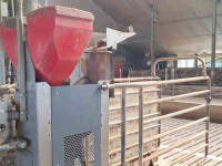 Feeding computer Lely Cosmix