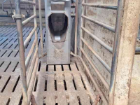 Feeding computer Lely Cosmix