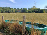 Water trough Solar Energy Suevia Suevia weidedrinkbak, 200 tot 1500 liter