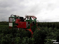 Rootball Lifter Ezendam Globus ASTM automatische Steekmachine