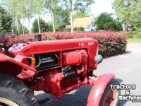 Oldtimers Belarus T 25 Oldtimer Tractor