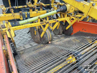 Onion harvester Samon 4-rij voorraadrooier / rooimachine