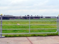 Other livestock equipment and accessories Qmac HW350  Weidehekken / Landhekken / Weidepoort
