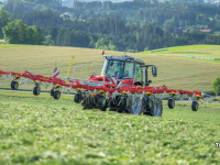 Tedder Pottinger HIT V 11.100